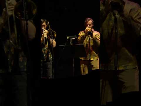 Animal feat. Stuart Bogie 🎷 Andrew McGovern 🎺 and Dave Nelson 🐘 at MSG! #goose #jam #liveband Thumbnail