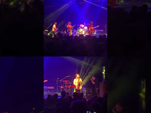 Saxophone solo! #sax #saxophone #livemusic #turkey #jamrock Thumbnail
