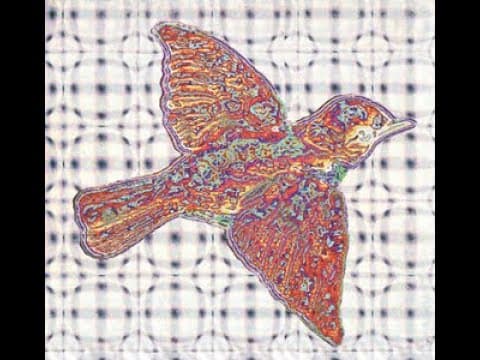 Widespread Panic ~ Isolated Guitars ~ Surprise Valley (Studio) Thumbnail