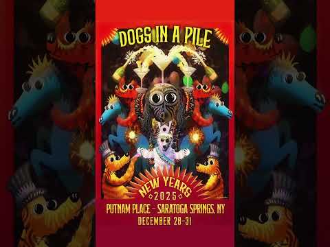 New Year's in Saratoga 🥂 #DogPound🐶 Thumbnail