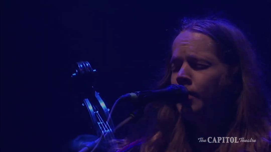 Billy Strings - "Wharf Rat" from The Capitol Theatre Thumbnail