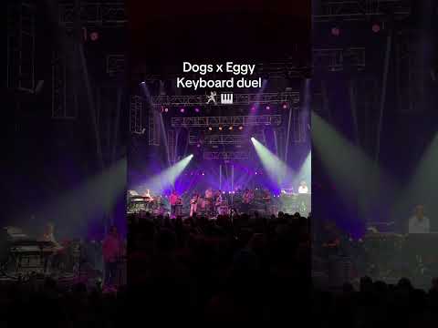 Wild times with @EGGYlivemusic this past weekend at The Cap ⚡️ #DogPound🐶 Thumbnail