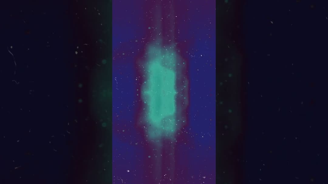 February 4, 2024 Thumbnail