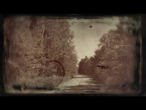 Billy Strings - Cabin Song (Official Lyric Video) Thumbnail