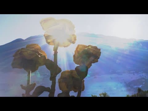 Billy Strings - RENEWAL RECAP DAY 1 // Buena Vista, CO Thumbnail