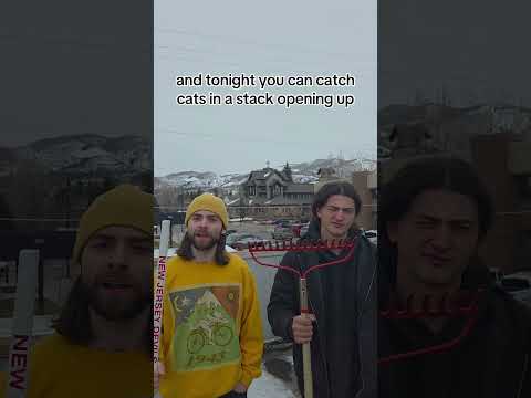 Steamboat let’s do this 🎉 ⛷️ 🏔️ four nights of dogs kicks off tonight at the OTP #DogPound🐶 Thumbnail