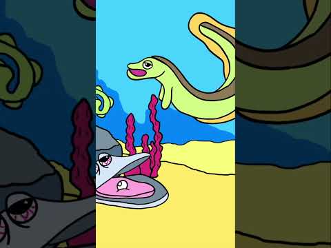 Shanti the Dolphin, our beloved folk hero of Virginia Beach! Thumbnail