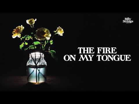 Billy Strings - The Fire On My Tongue (Official Audio) Thumbnail