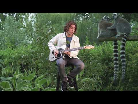 How To Play Guitar For Lemurs! Daniel Donato - Cosmic Country Thumbnail