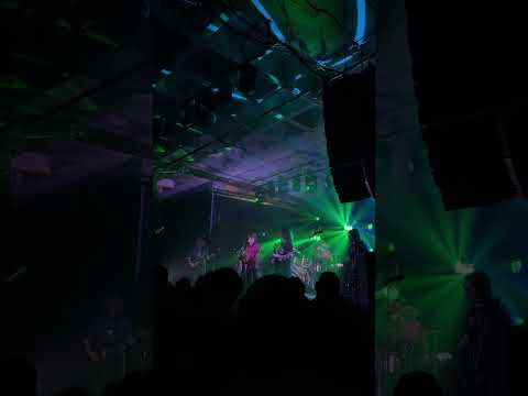 Pigeons Playing Ping Pong with a sax! #kendallstreetcompany #pigeonsplayingpingpong Thumbnail
