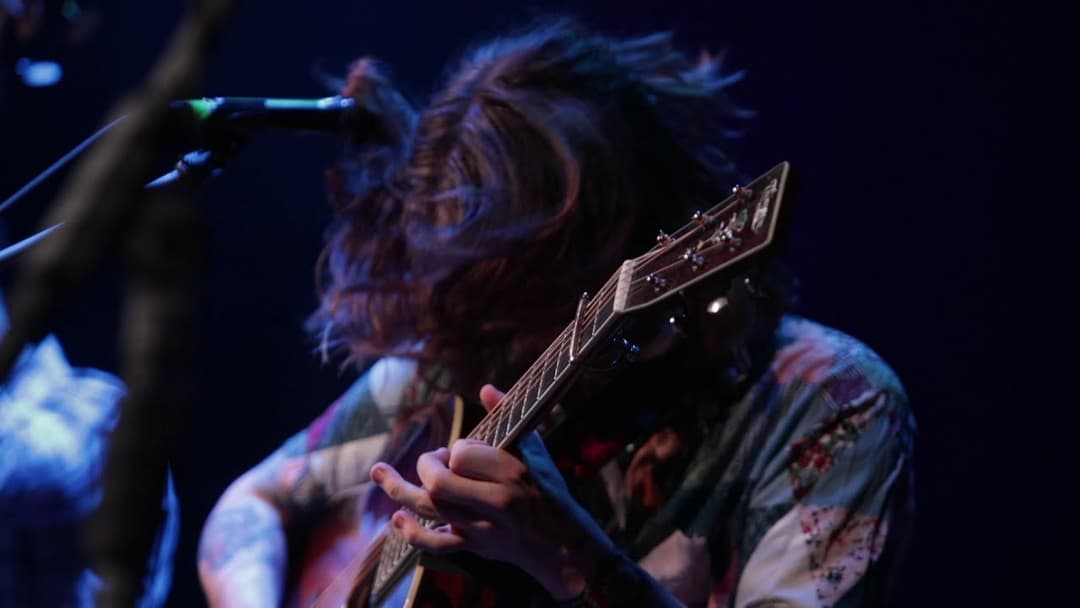 Billy Strings New Year's Eve Run 2018 Recap Video Thumbnail