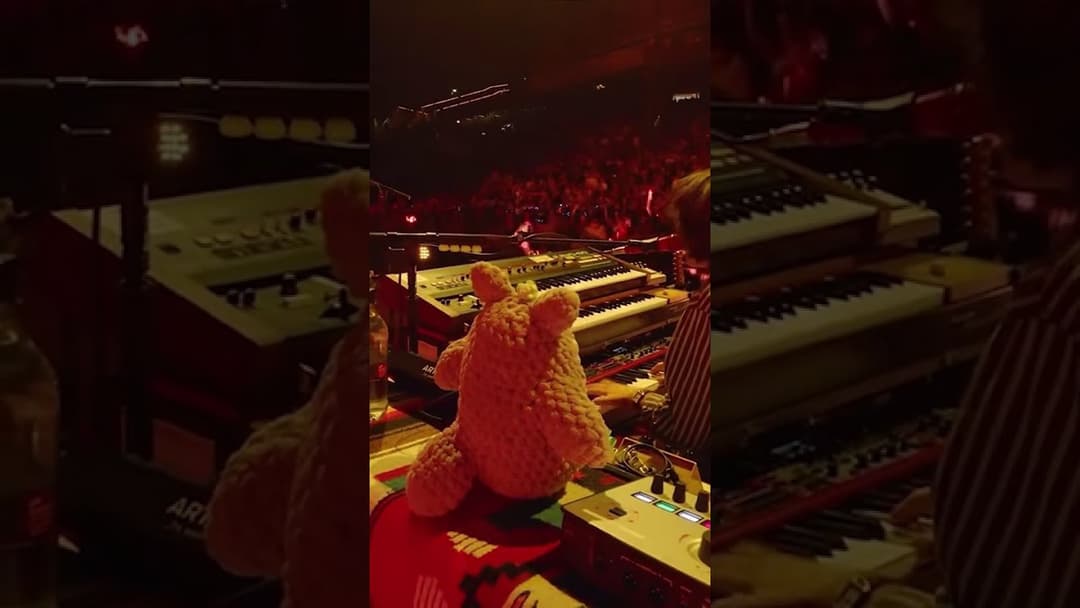 KEEP MY HANDS SEWN ON 🙏 #goosetheband #philly #ontour Thumbnail