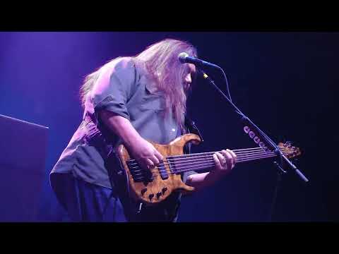 Pigeons (Live in Milwaukee) Thumbnail