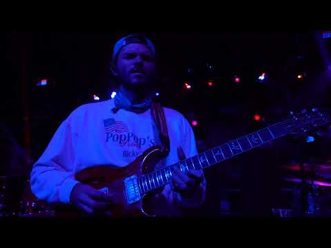 Goose - Earthling or Alien? - 11/6/20 Morris, CT Thumbnail