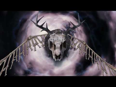 Billy Strings - Seven Weeks In County (Official Lyric Video) Thumbnail
