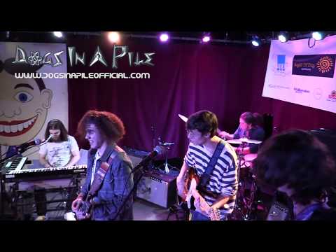 Dogs In A Pile - Light of Day 2019 @ The Wonder Bar, Asbury Park NJ Wonder Bar, Asbury Park NJ Thumbnail