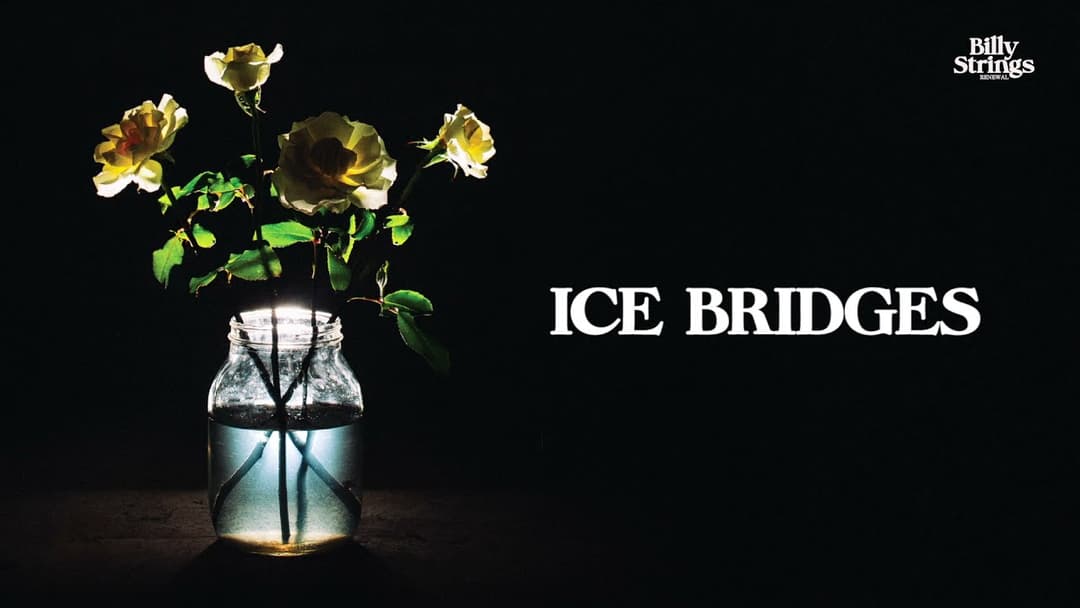 Billy Strings - Ice Bridges (Official Audio) Thumbnail