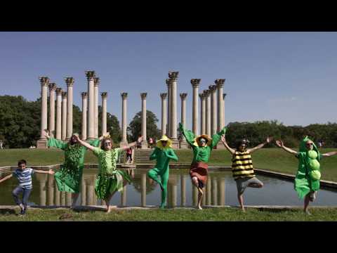 Kendall Street Company - "Boomba Voyage (I Sure Do Love Plants)" [OFFICIAL VIDEO] Thumbnail