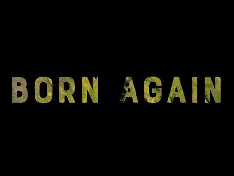 Greensky Bluegrass feat. Holly Bowling - Born Again (Official Lyric Video) Thumbnail