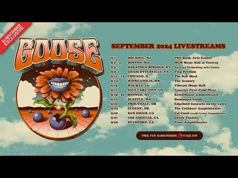 Goose 9/12/2024 Chicago, IL Thumbnail