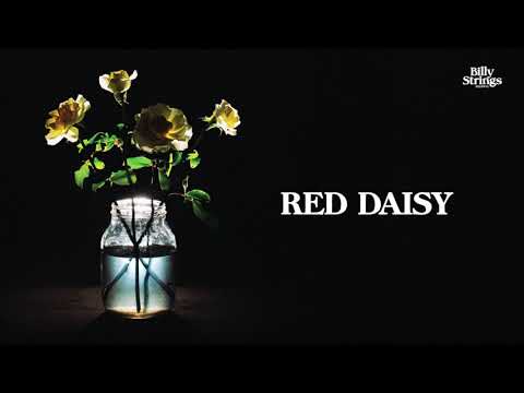 Billy Strings - Red Daisy (Official Audio) Thumbnail