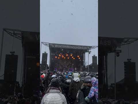 I think we had the most ironic song of the year at Winter Wondergrass… #danieldonato #shorts Thumbnail