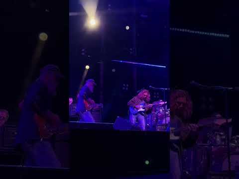 YEEHAW #WIDESPREADPANIC #cosmiccountry #danieldonato #livemusic #tour #shorts Thumbnail