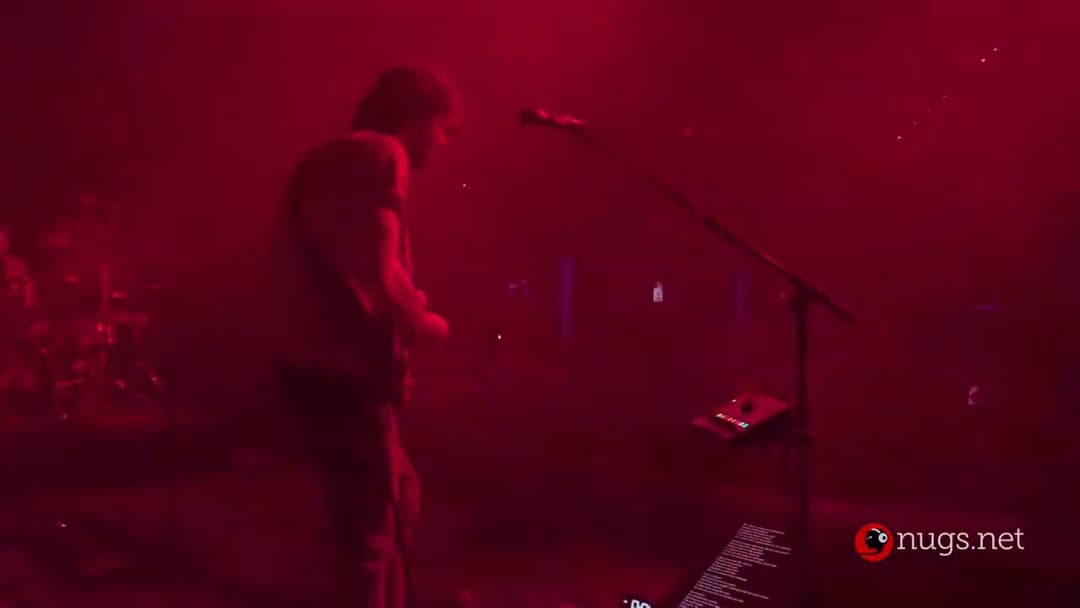 Goose 2/13/25 Grand Rapids, MI Thumbnail