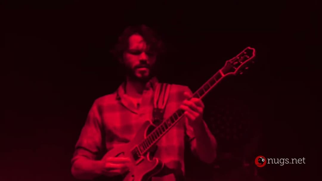 Goose 2/8/25 Milwaukee, WI Thumbnail