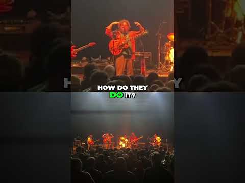 Turkey in EVERY song ! 🦃🤯  #zztop #livemusic #jamrock #music #liveperformance #kendallstreetcompany Thumbnail