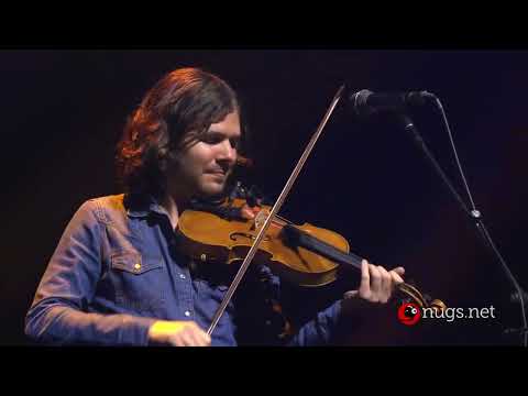 Billy Strings 5/25/24 Rosemont, IL Thumbnail