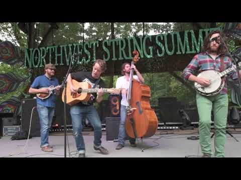 Billy Strings | The Train That Carried My Girl From Town | Northwest String Summit | gratefulweb.com Thumbnail