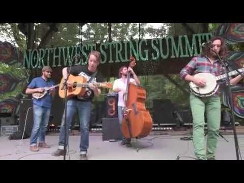 Billy Strings | The Train That Carried My Girl From Town | Northwest String Summit | gratefulweb.com Thumbnail