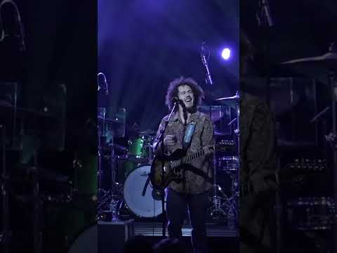 Rabbit - The Sinclair - 12/14/24 #DogPound🐶 Thumbnail