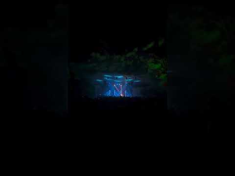The frequencies were high down in the low ground for Camp Cosmic. See you at Camp next year? #shorts Thumbnail