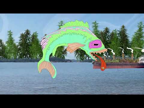 Billy Strings - MORBUD4ME (Official Lyric Video) Thumbnail