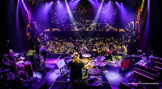 Cheese String Faces TourWrangler: Live Music Archive